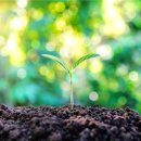 진우축산 이미지