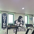 BK복싱클럽 이미지