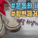 손세탁 전문점 이미지