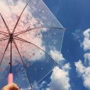 맑은하늘 이미지