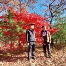 별찌펜션 이미지