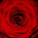 장미휴게실 이미지