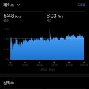 마브서울