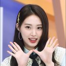 포토조아 이미지