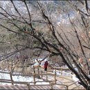 하우약수터 이미지