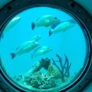 마린파크약국 이미지