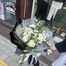 화비꽃방 이미지