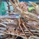 대게수산 이미지