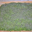 김영칠농장 이미지