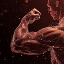 (CS)휘트니스 이미지