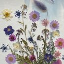 신명카서비스 이미지