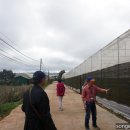 반탄농장 네이버블로그