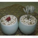 또밥하우스 이미지