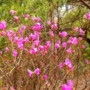 백양산 등산로 이미지