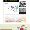 씨즈퍼스트 이미지