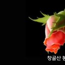 중동지역의 역사와 지리 이미지