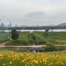 소담동 숲바람수변공원