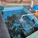 유산길50 | 고양시 내유동 추어탕맛집 종화네돌솥추어탕 방문후기