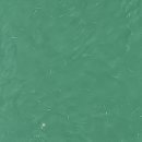 몽돌힐링 이미지