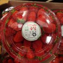 다라1천 이미지