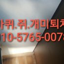 로취사이언스 네이버블로그