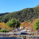 별바라기 캠핑 펜션 이미지