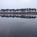 계화진료소 이미지