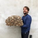 더 노마(The Noma) 이미지