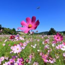 경서대로 이미지