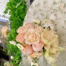 용두방천2길 | 🌸 친구 결혼식 부케 말리기 선물 후기｜대구 졸리쥬드 트리오세트