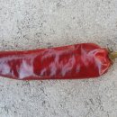 화건축 이미지