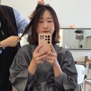 유진메디칼 | 동탄역미용실 퍼퓨아 헤어에서 단발 보니펌으로 기분전환!