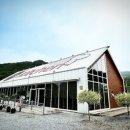 인더키친 이미지