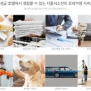 아르네브 이미지