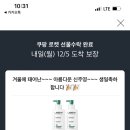 파이브카