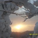 꿈의궁전 이미지