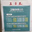 [세종/체험] 세종 테니스레슨 추천 건강한 신혼부부 취미 고릴라테니스 레슨 후기
