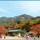 10/7(토) 속리산(100대명산)_충북의금강산(정원미달로 취소합니다!) 이미지