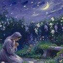Moonlight Flower (밤에 피어나는 꽃) 연주입니다 ~~~ ^^ 이미지