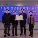 알파인터내셔널
