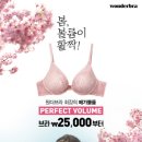 338005 이미지