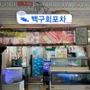 백구회포차