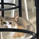 여름향기 | ❝아직 여름향기가 나는 9월❞