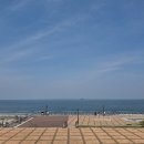손칼국수 | 안산 대부도 맛집 추천, 수호할머니손칼국수 후기! 시원한 국물에 보리밥까지!