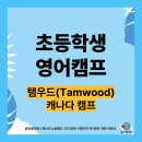 (12/15) 평생학습주간_퍼스널컬러(17:00~18:00) | 초등학생 영어캠프 비교! 탬우드 vs MBC 연합캠프, 승자는?