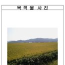 강서구-73 이미지