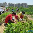 김종현 농장 이미지