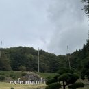 만디가 | [부산 사하구 카페] 부산 카페 만디, 자연 속에서 여유롭게 즐긴 카페 후기