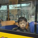오늘도, ODO | 22년생 5세 아이의 우당탕탕 유치원 적응기 2탄 (한달 적응 후기)