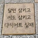 (주)열림언 | 마운자로? 이긴자로? 지방 흡입도 이긴자로ㅉ💅